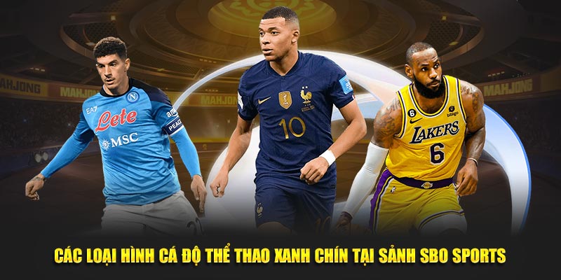 Các loại hình cá độ thể thao xanh chín tại sảnh SBO sports